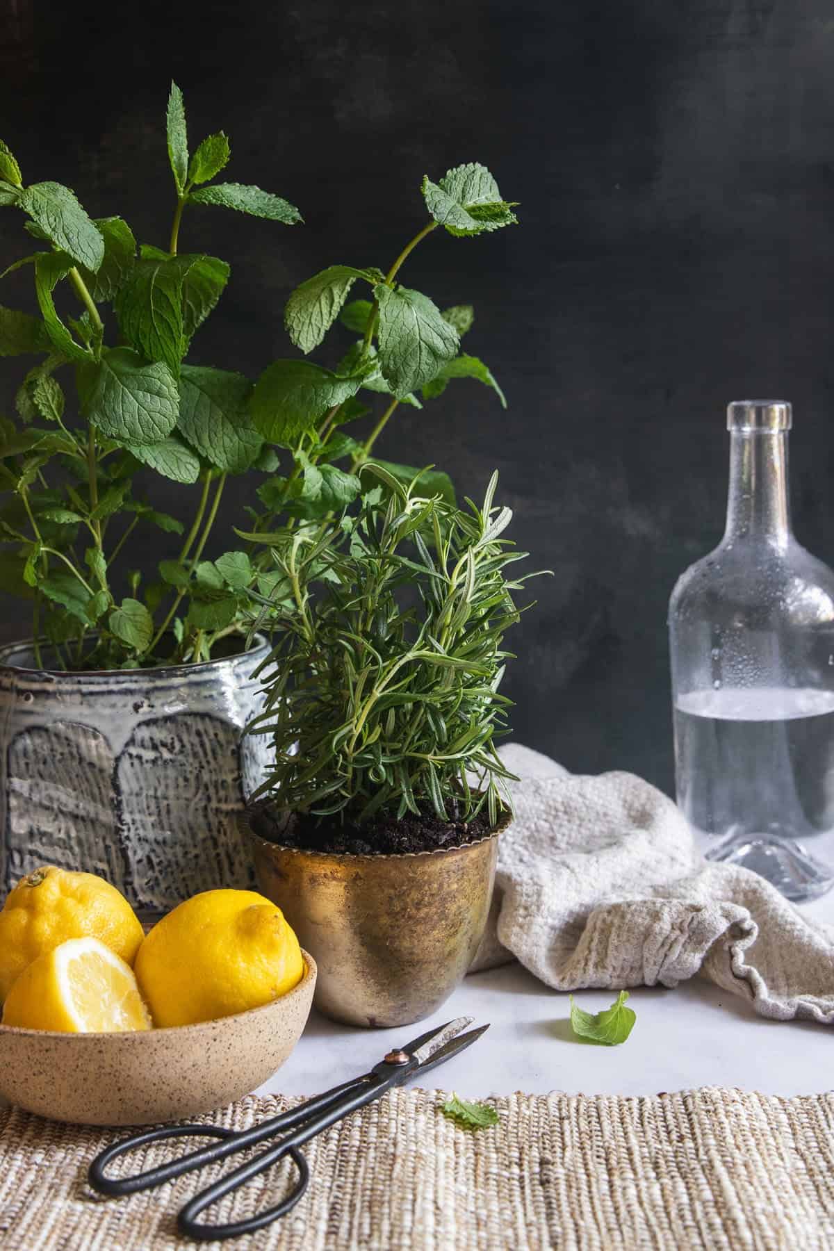 Ingredients for homemade Hungary Water Recipe