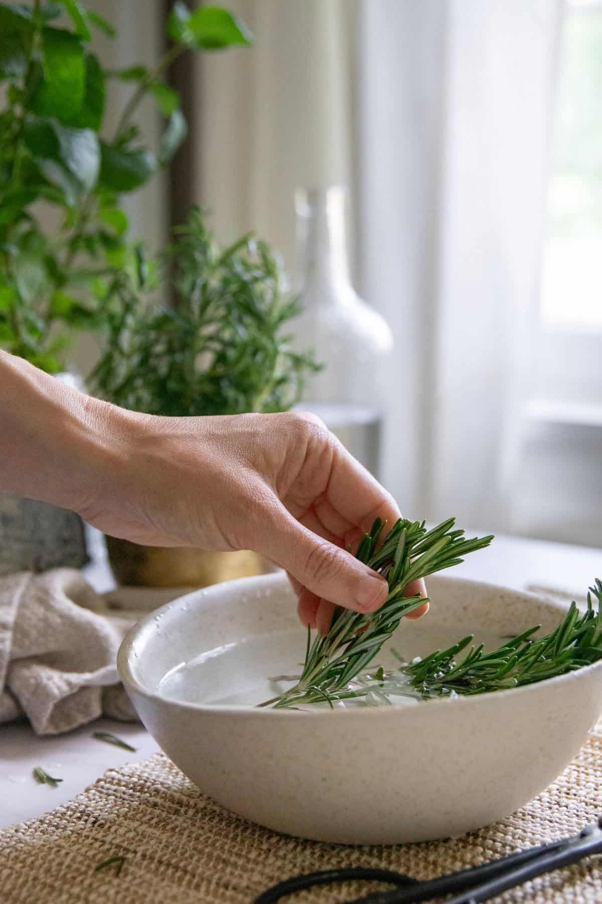 Prepare fresh rosemary for making hungary water at home