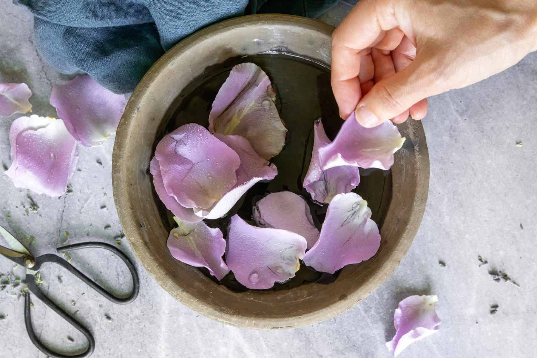 Rinse + Dry Fresh Rose Petals for diy rose perfume