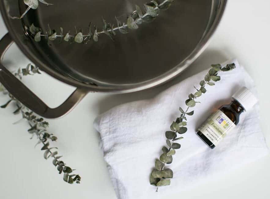 Eucalyptus Essential Oil Steam diffusion