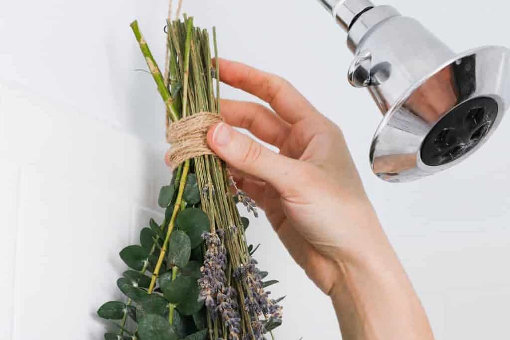 Eucalyptus shower bouquet